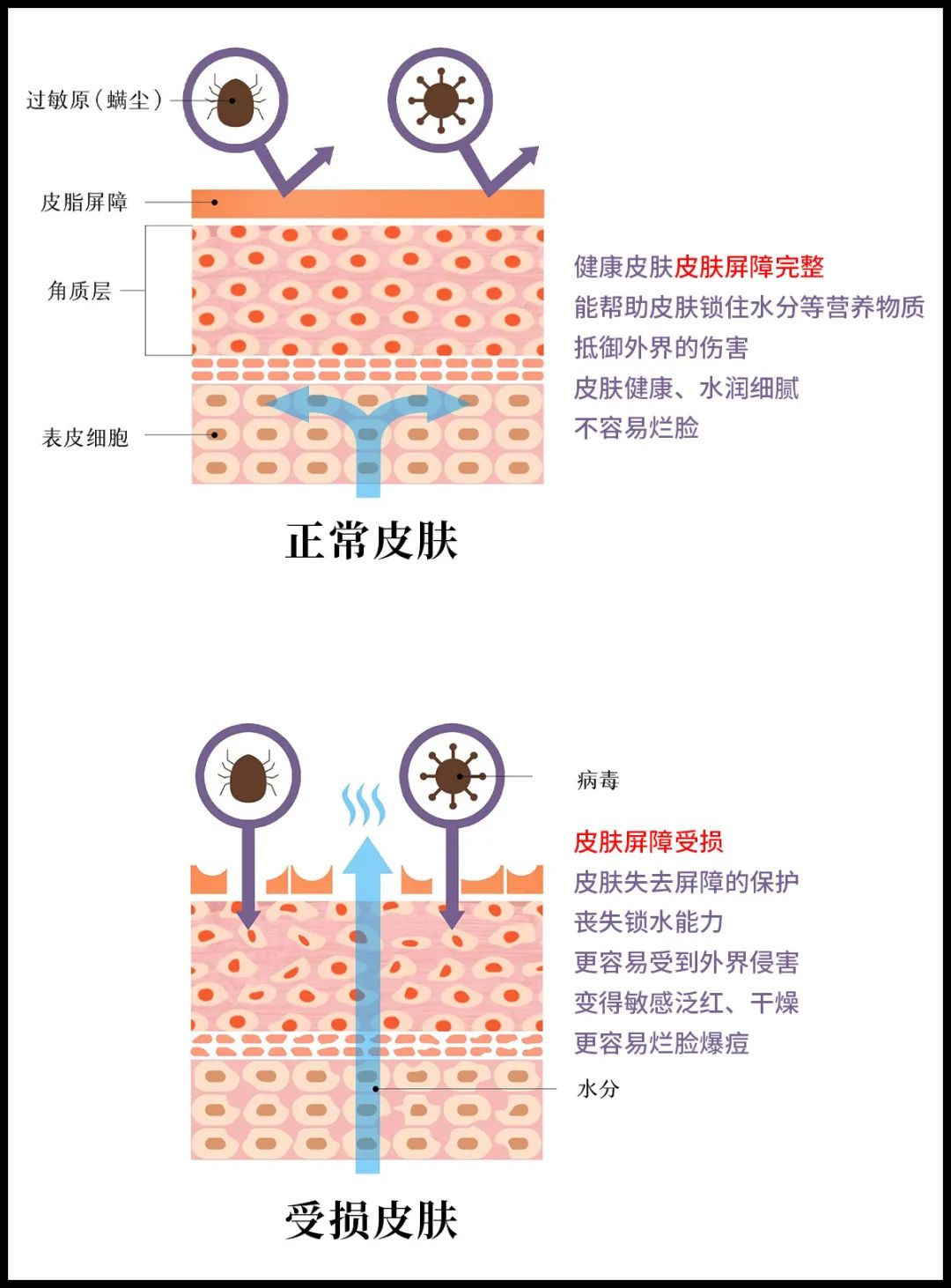 到底该怎么样卸妆,卸妆误区远离烂脸