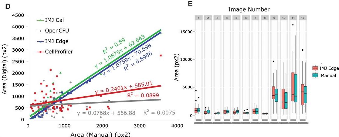 毛滴虫的营养源,毛滴虫营养源是什么