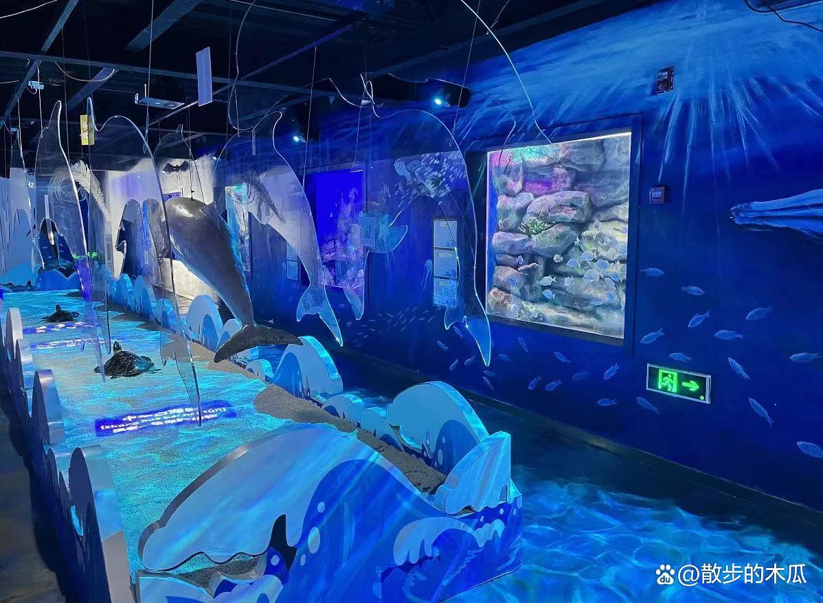 厦门旅游年卡免费景点，你去过哪几个？