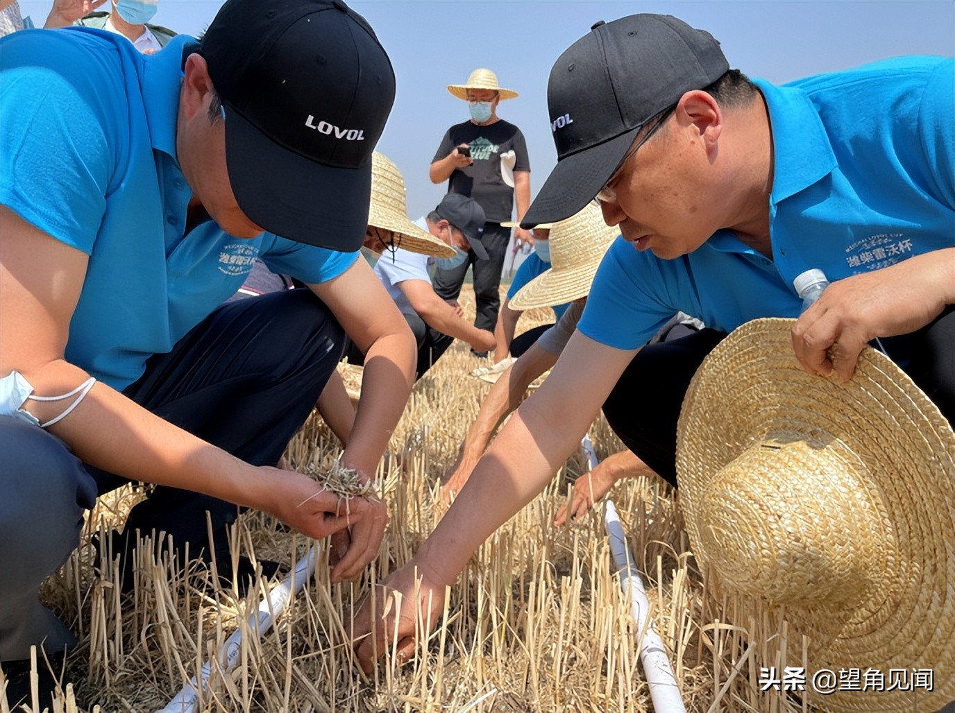 减出亿斤粮！潍柴雷沃以机收减损促颗粒归仓