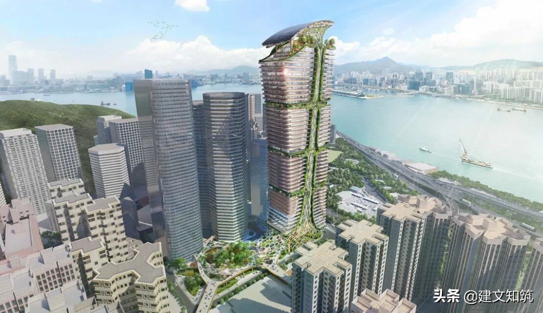 waf2023世锦赛,waf国内排名