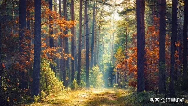 山行唐杜牧古诗意思讲解,杜牧山行书法小篆作品欣赏