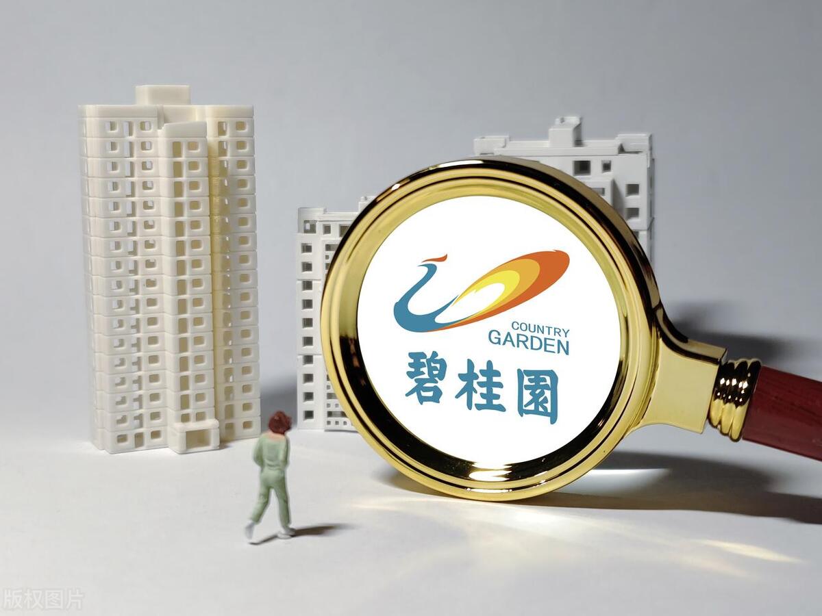 碧桂园物业服务手册,碧桂园施工手册