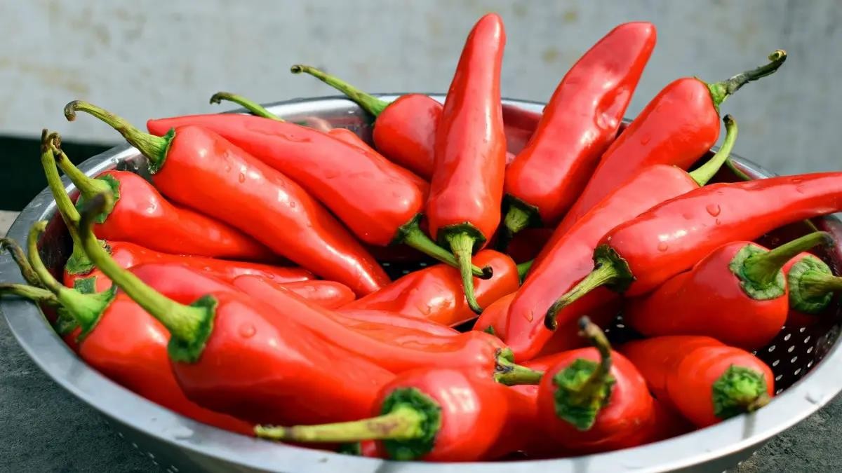 痘痘的10大常见说法你了解多少,关于痘痘的科普知识有哪些