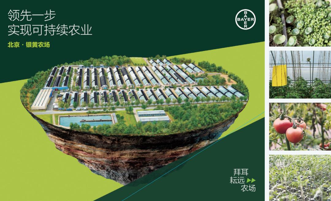 百年拜耳维生素,拜耳的创新之路