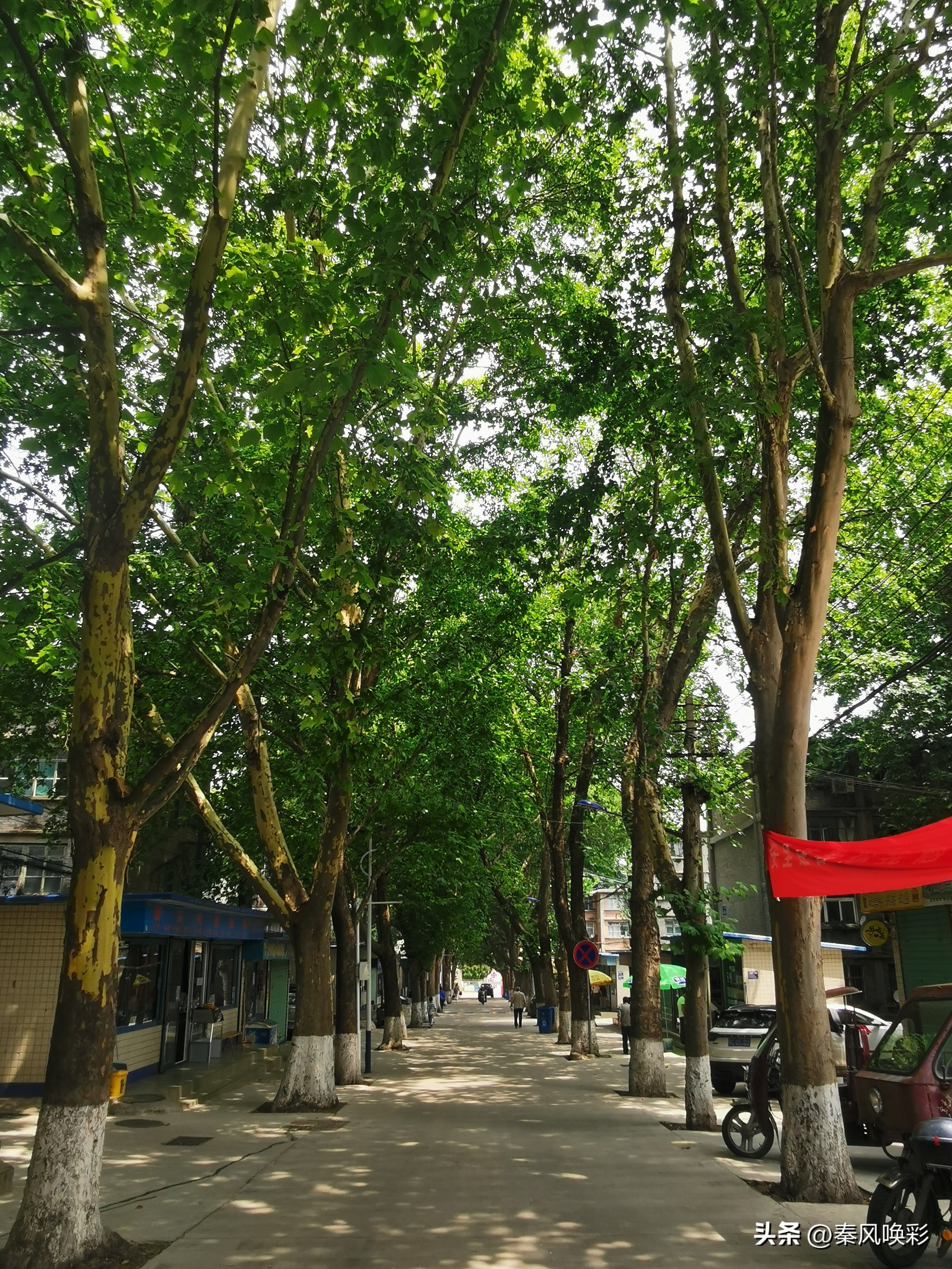 闲谝马营文/邹新社