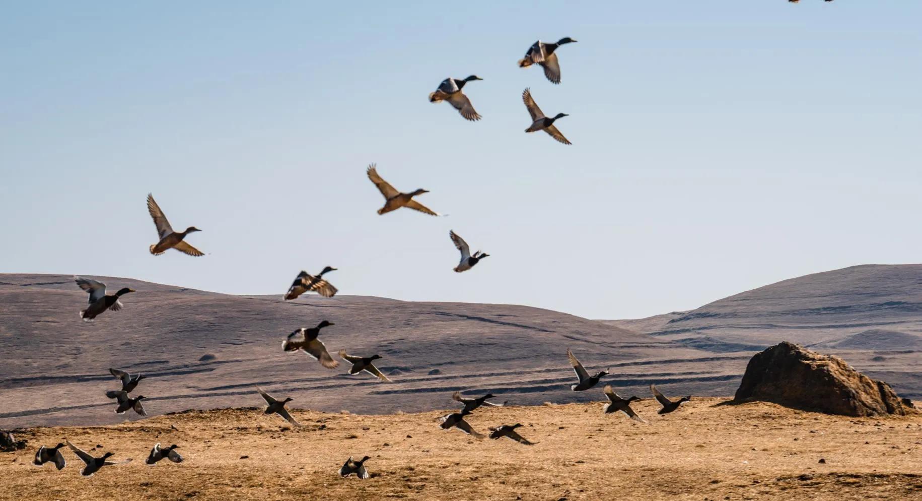 西双版纳10日行——走遍春夏秋冬，总会有人四季等你。