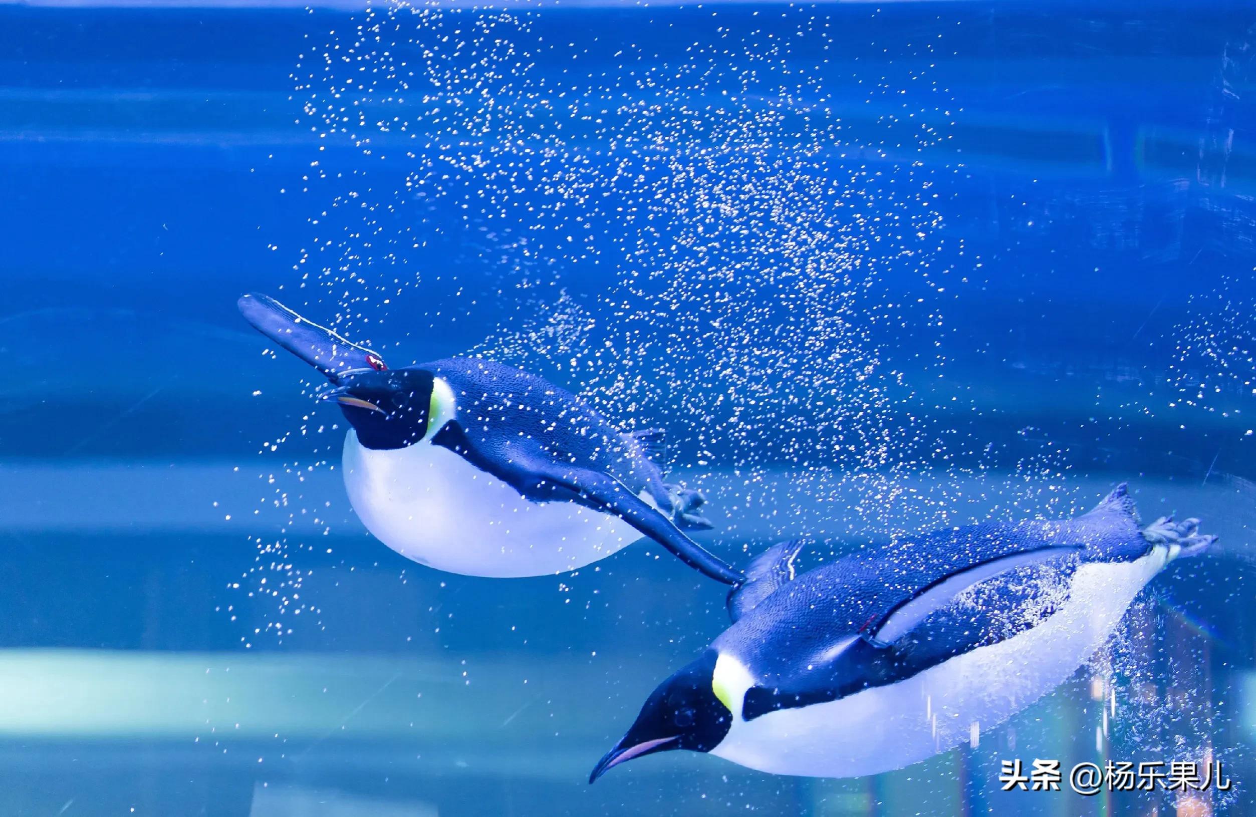 上海浦东新区北蔡镇,上海浦东新区八佰伴附近的酒店