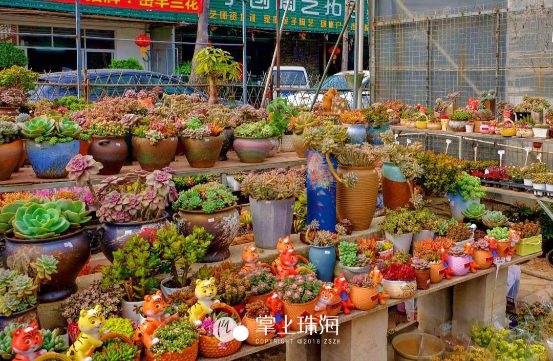 珠海有没有批发市场,珠海批发市场几点开始批发