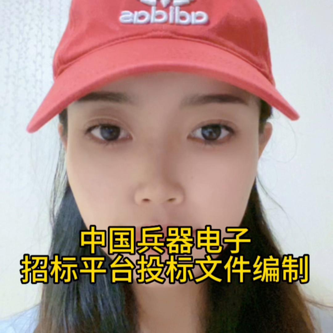 中国兵器电子招标平台两种投标文件编制方式,西安实体团队...