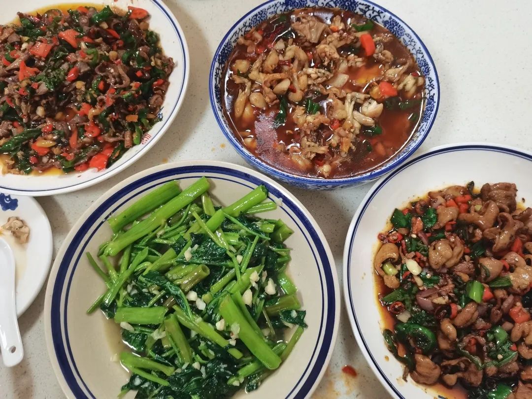 归来景德镇,重新来过景德镇