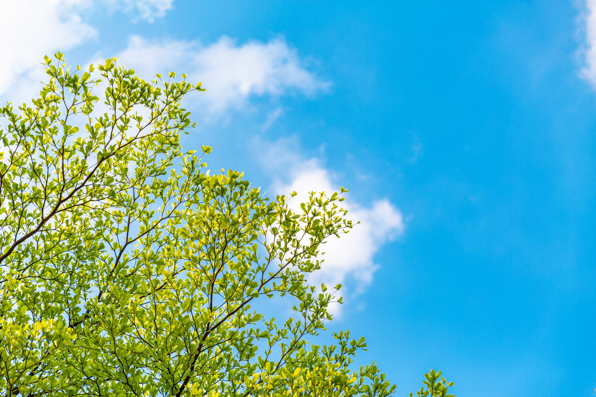 严重性格缺陷导致的婚姻破裂,性格缺陷对待感情