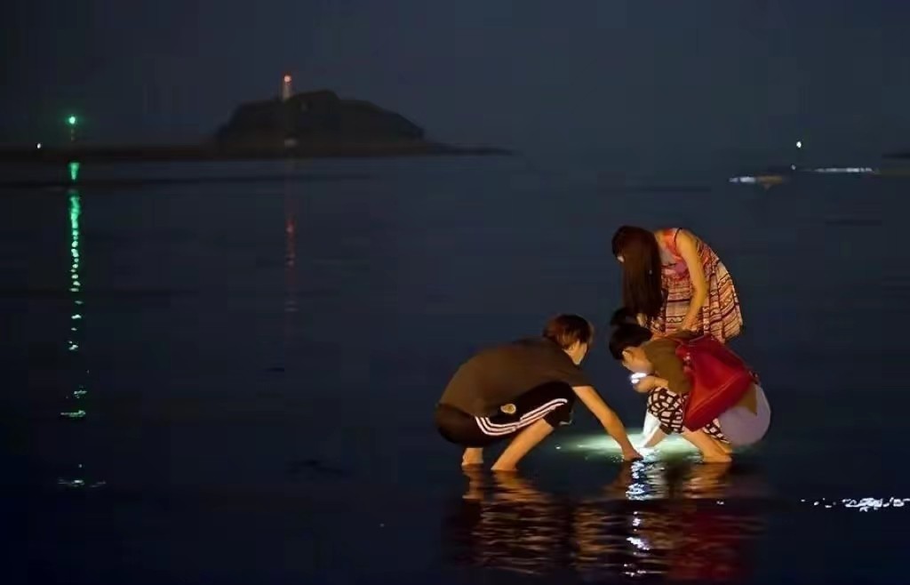 赶海怎么才能有收益,赶海的都是怎么赚钱