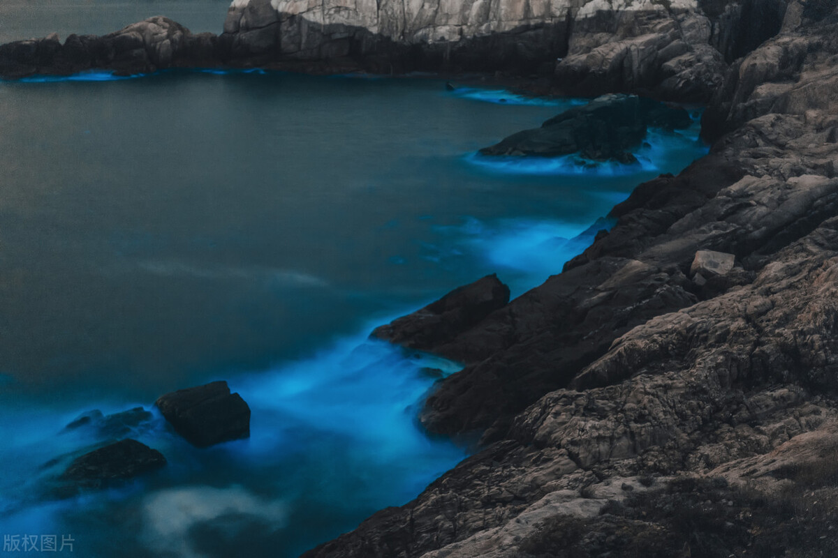 最美荧光海滩,夏天海边治愈系日常风景