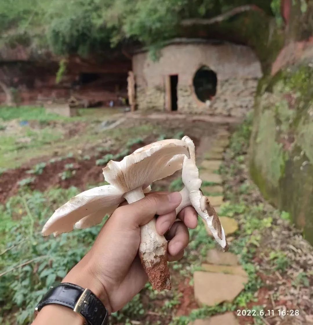 网约车司机曾创业10次欠债几十万,网约车司机负债10万