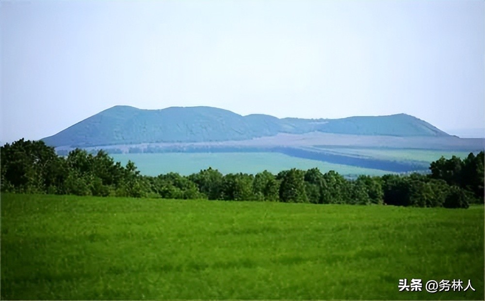 林地可行性报告质量要求,使用林地可行性报告还需要资质吗