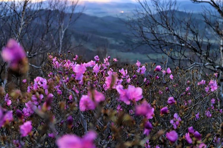 春节期间不要买什么东西,春节不应该买的食物