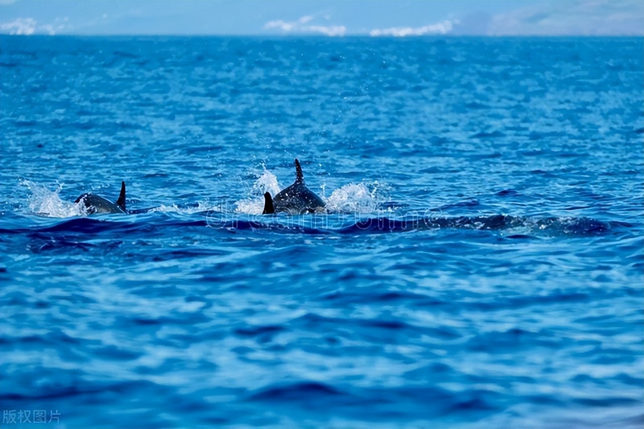 当一个人不愿意搭理你文案,当一个人不搭理你