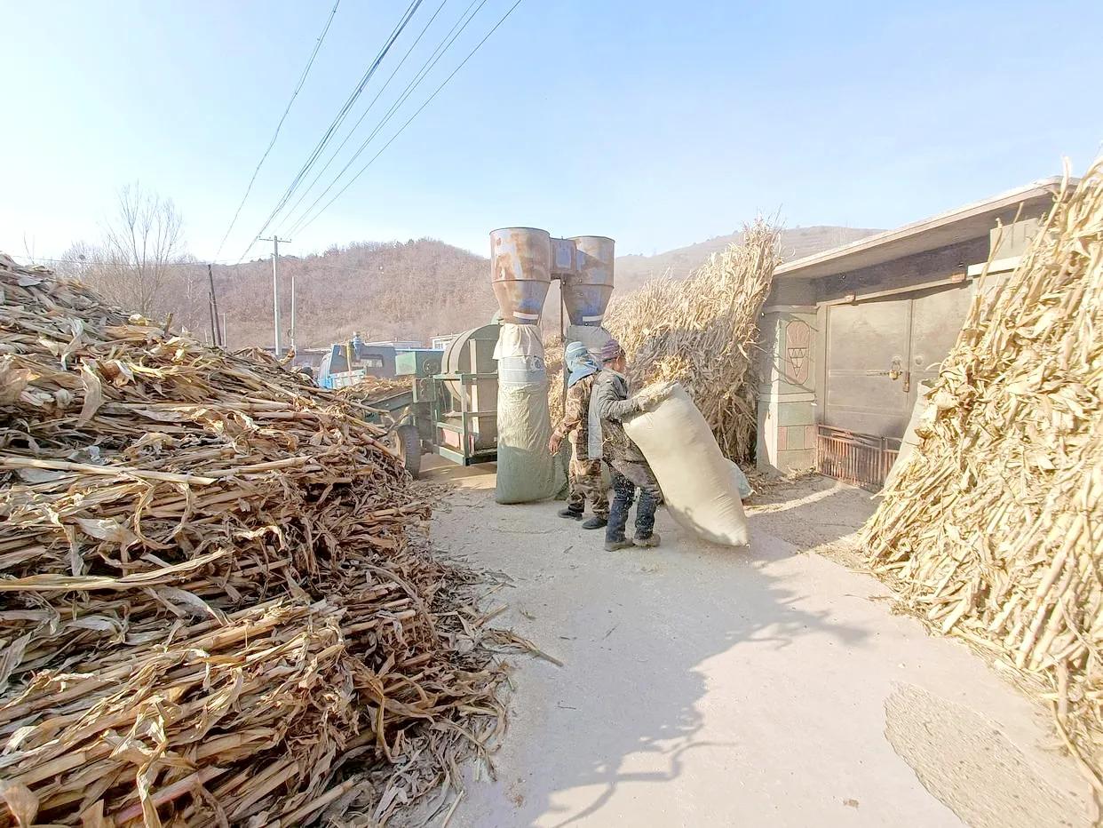 在农村有什么简单快速的赚钱方法,农村你应该知道的赚钱方法