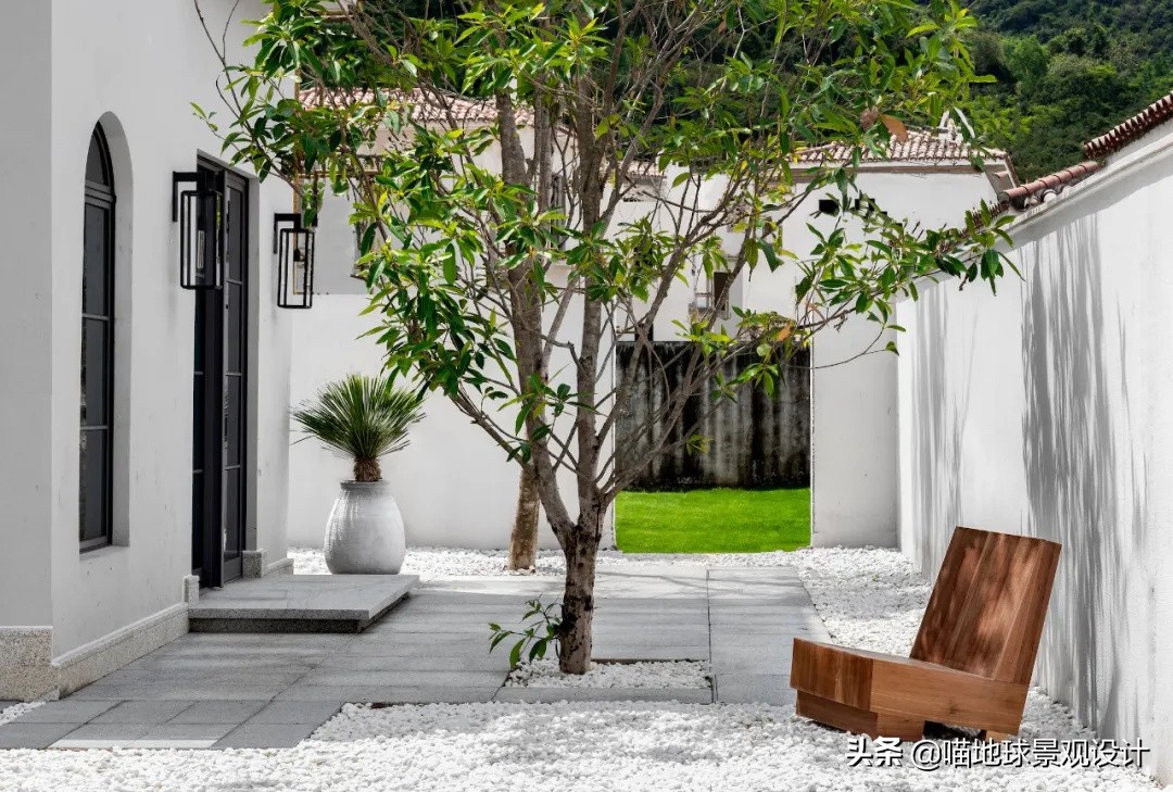 热带风情的庭院别墅,庭院大型热带风情绿植