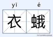床上小颗粒是什么虫卵,墙上有虫卵很小颗粒