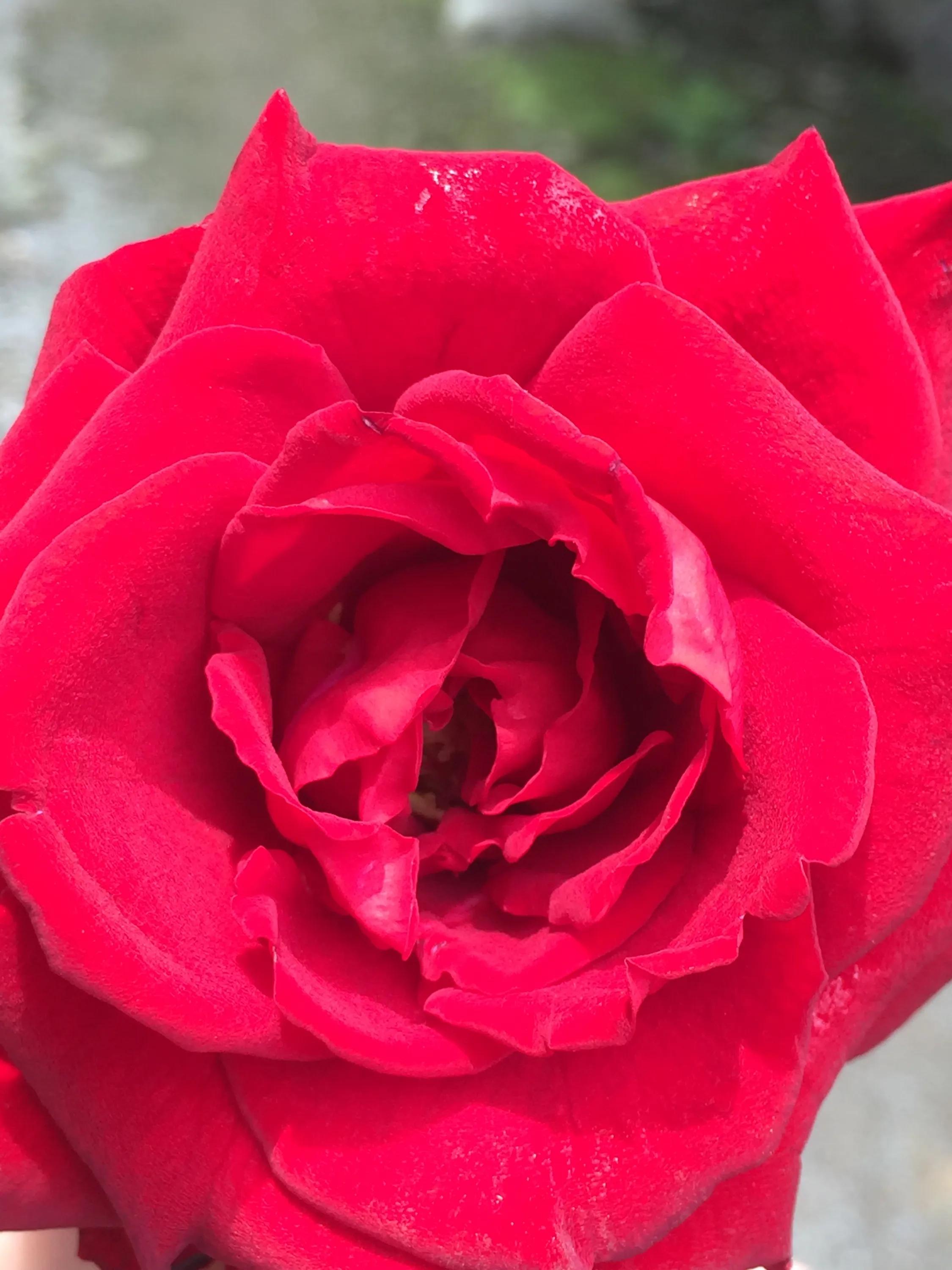 伯恩2018临时工,伯恩临时工20块一个小时