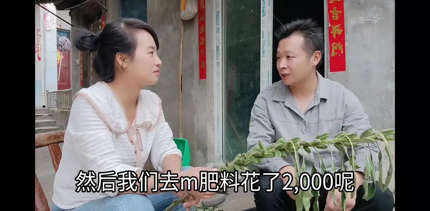 子奇妈给一朵钱买衣服，结果一朵买了化肥