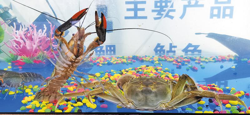 杨凌农高会农业产业园,渭南乡村振兴农产品展销会