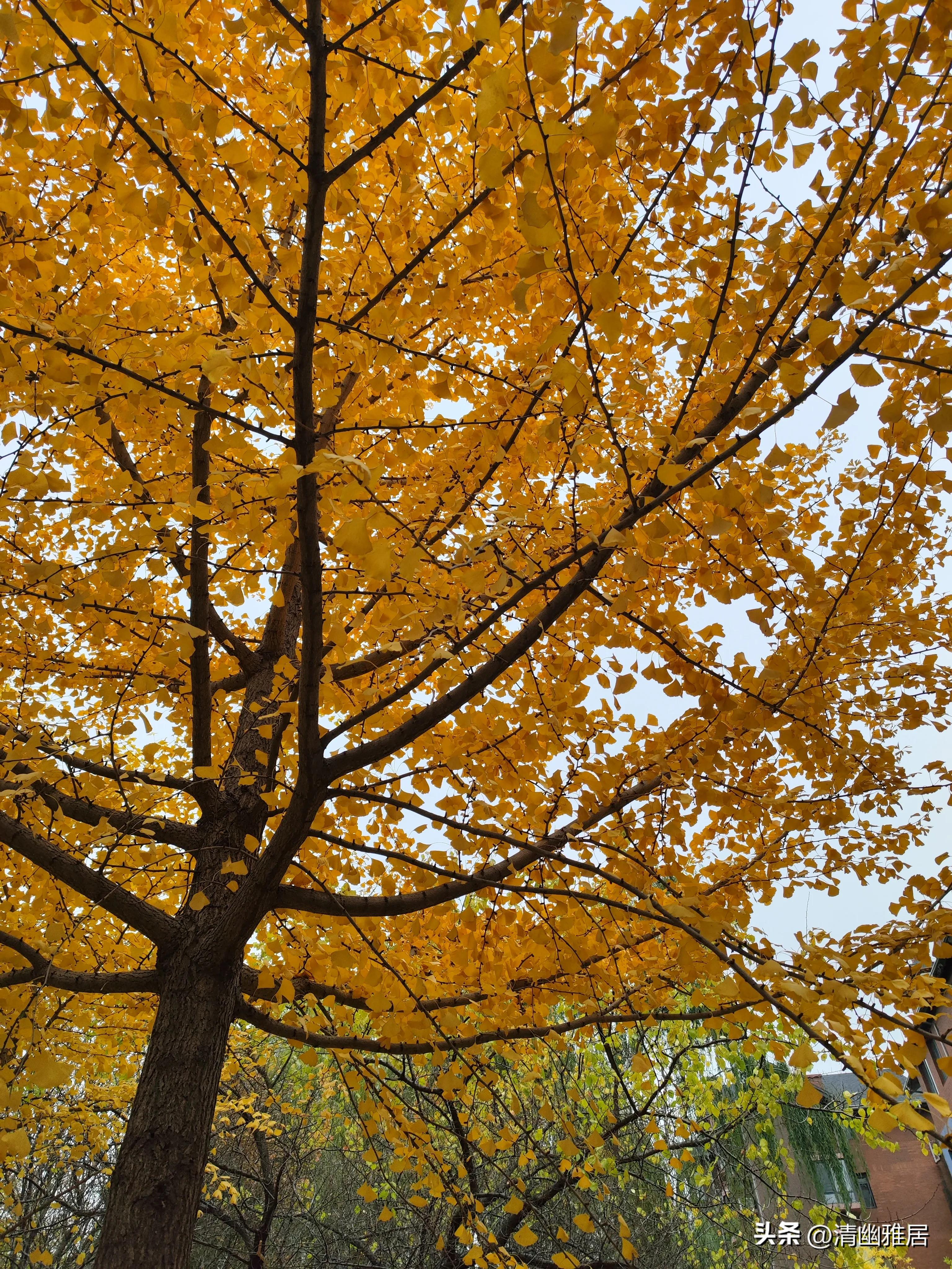 早安晨语经典,早安晨语带日期