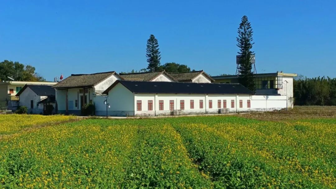 閲戠涔嬬害,閲戠鍗佹湀鍥藉簡涓鍋囨湡浣忓鏀荤暐