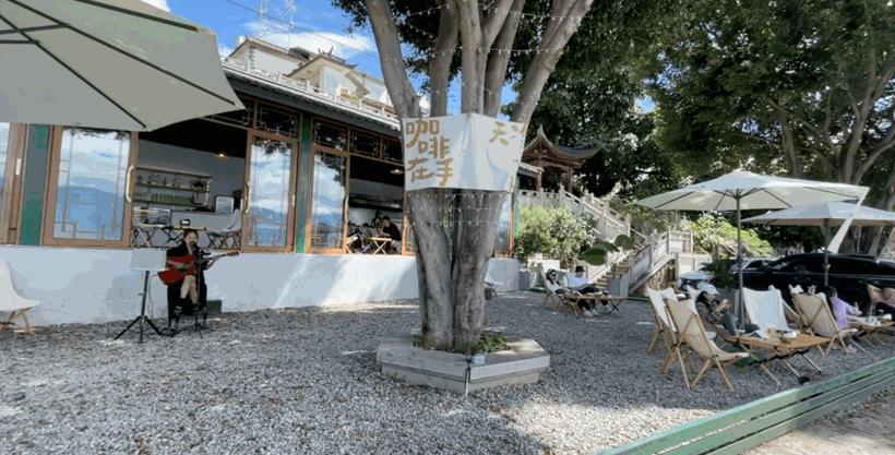 冬季洱海看海鸥最佳地方,这个冬天洱海该有多浪漫