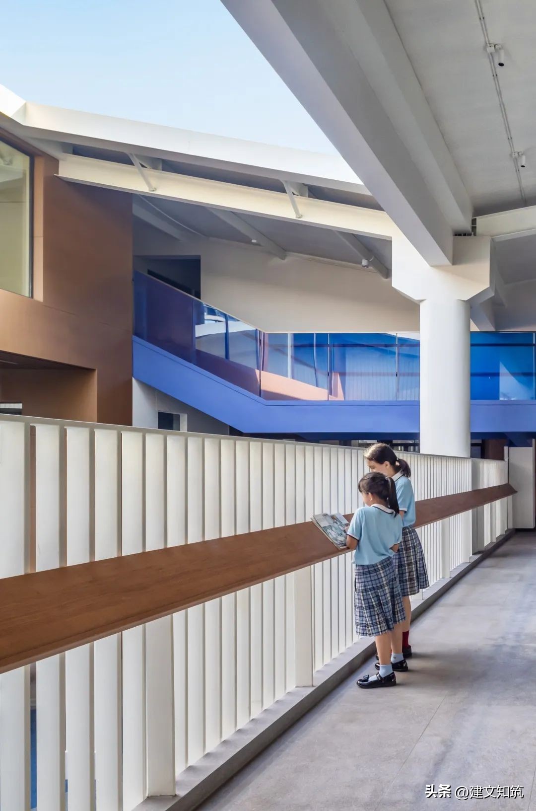 深圳市南山区丽林维育学校学费,丽林维育学校深圳