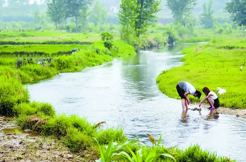 农妇洗衣服,农妇河边洗衣服引争议