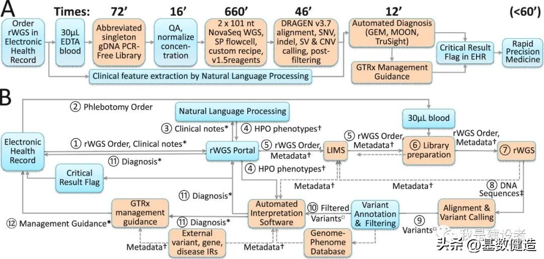 基因检测可以诊断各种遗传病吗,基因检测可以检测出多少种遗传病