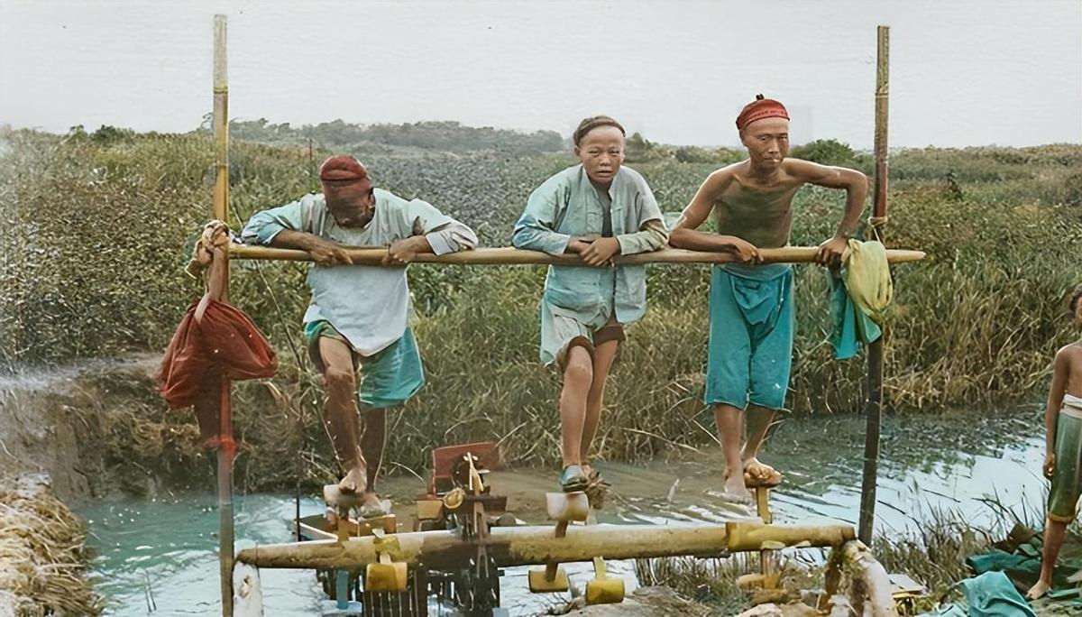 日军日记：男人饿倒在地，为了救他，我将他妻子的乳房割给他吃!