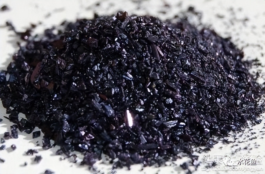 鱼卵水霉,鱼卵出现水霉病