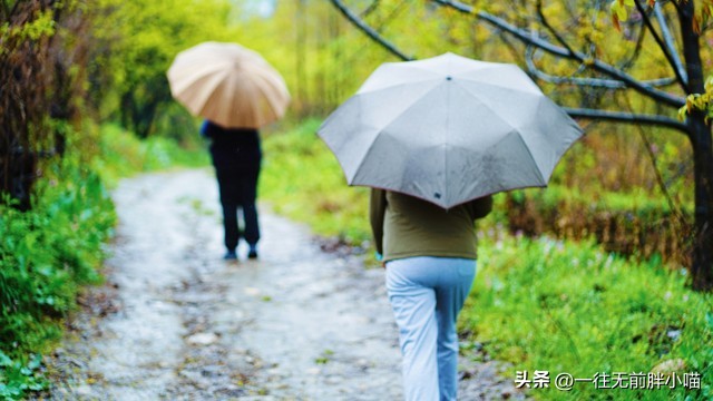 清明的由来和习俗古诗,清明的由来作文400字