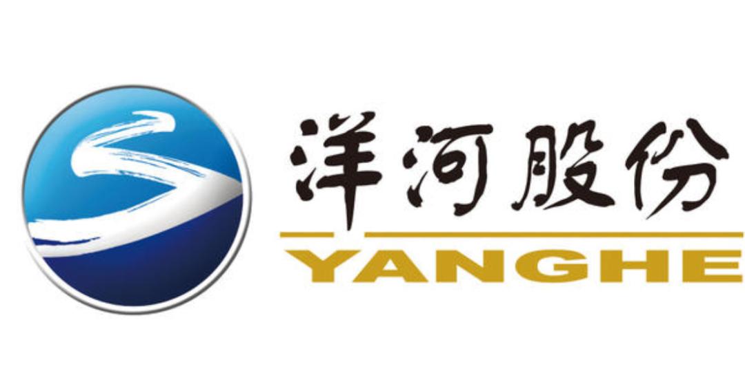 洋河股份在白酒行业中有什么劣势,洋河股份在白酒行业的地位