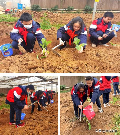宜昌五中学校,五中教育实践活动