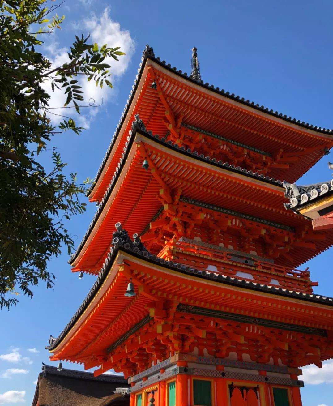 日本一个女生自己去旅游,女生日本独自旅行