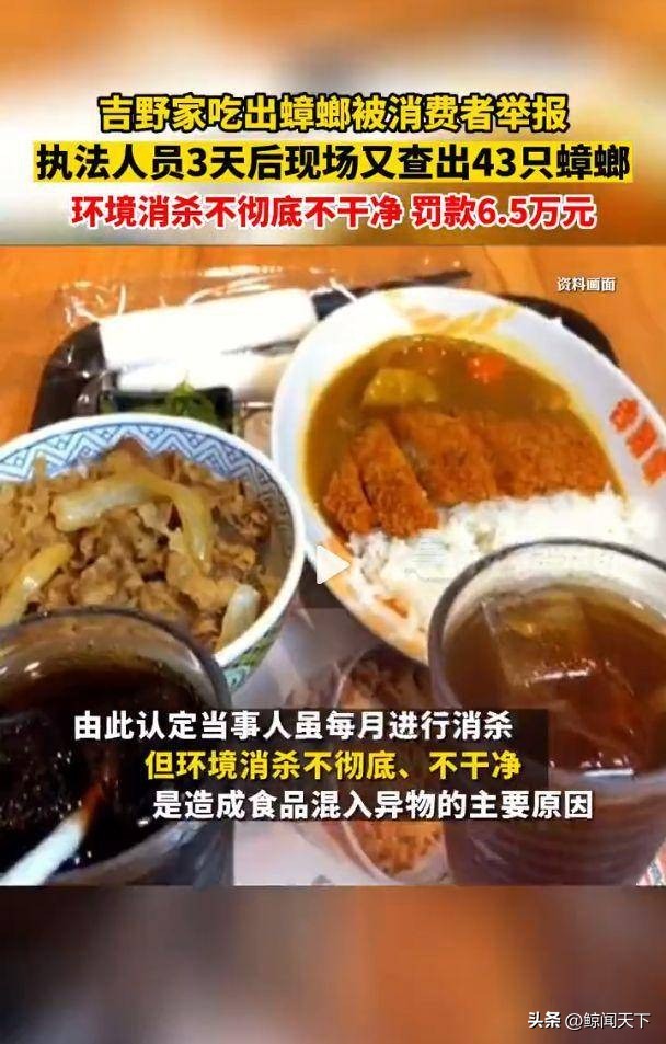 今年315都曝光了哪些,今年315都爆出了哪些坑