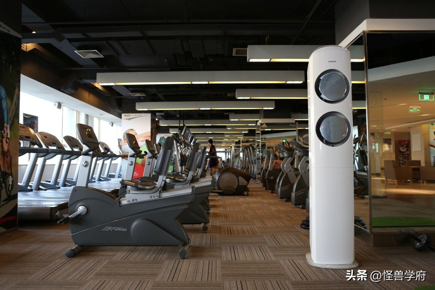 健身房丑闻事件,揭秘健身房那些鲜为人知的事件