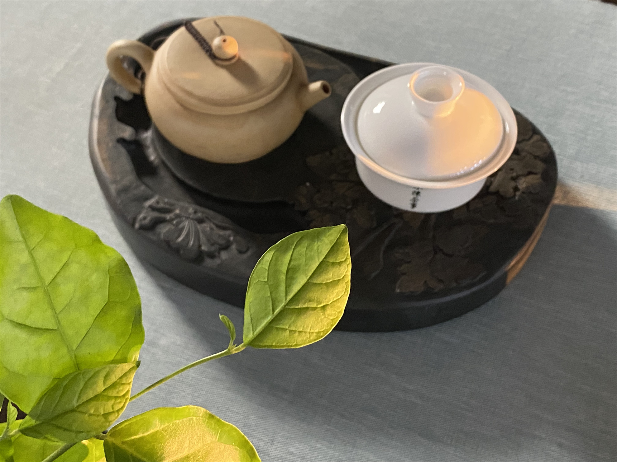 盖碗跟紫砂壶哪种适合泡白茶,白茶用紫砂壶还是盖碗