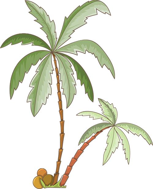 一堂科学公开课视频,夏日科学课