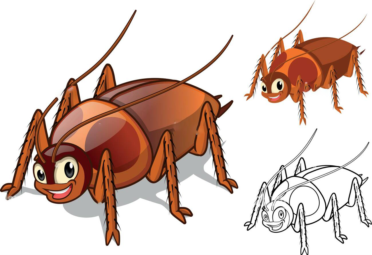 蟑螂没有头能存活很久是真的吗,蟑螂为何遭受巨大打击也能存活