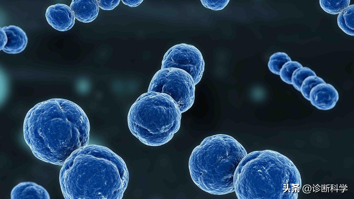 最新的猴痘传染病,传染病猴痘