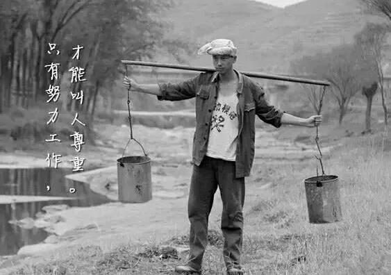 在岛屿读书与书相遇,在岛上小说结局