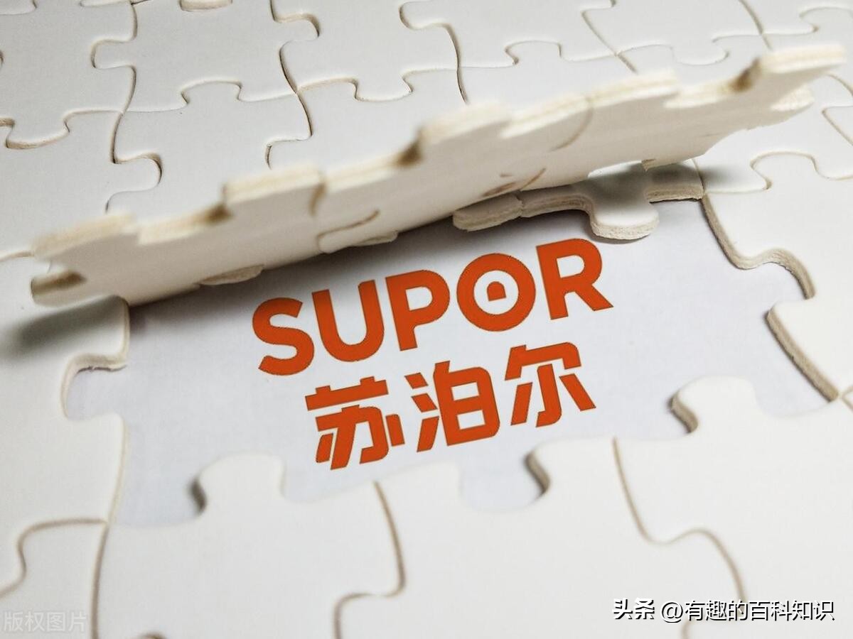 2020年电饭锅哪个品牌质量好,研发电饭锅最久的品牌