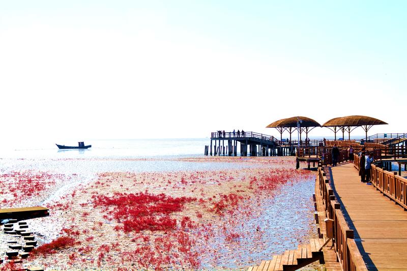 辽宁盘锦在哪个地方,去盘锦旅游哪里好