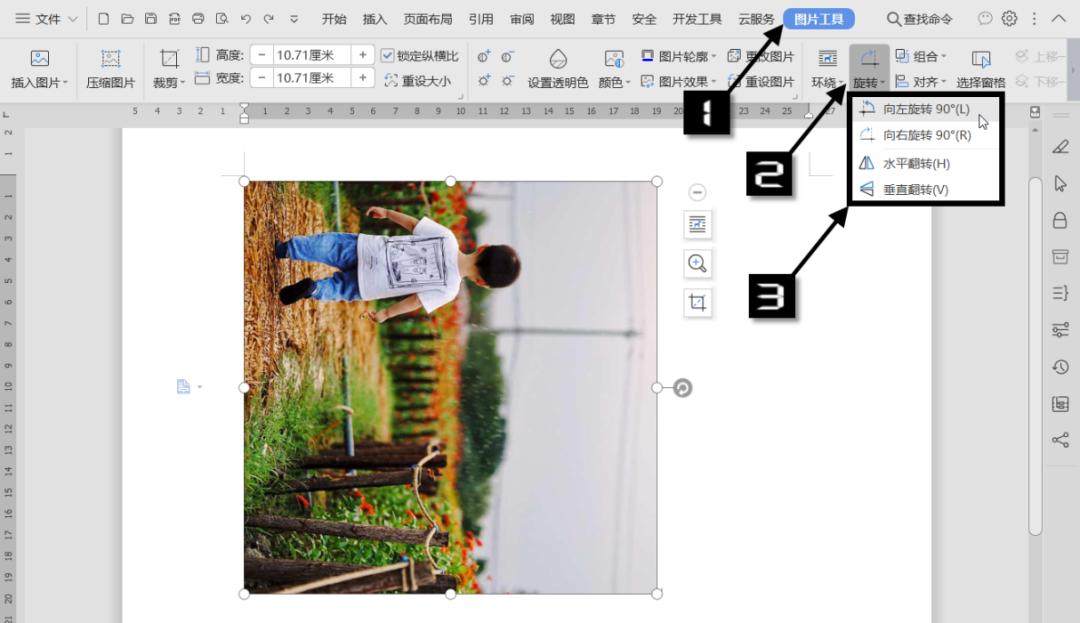 WPS技巧：调整图片格式